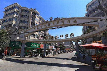 城东远航水晶城精装3室2厅2卫南北通透